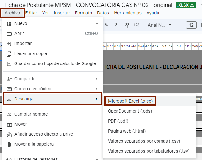 Excel de Convocatoria